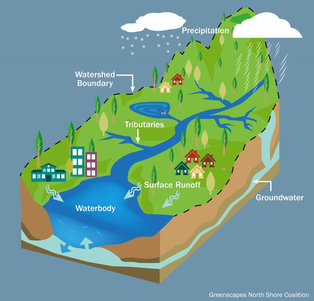 what-is-a-watershed-wheatley-river-improvement-group