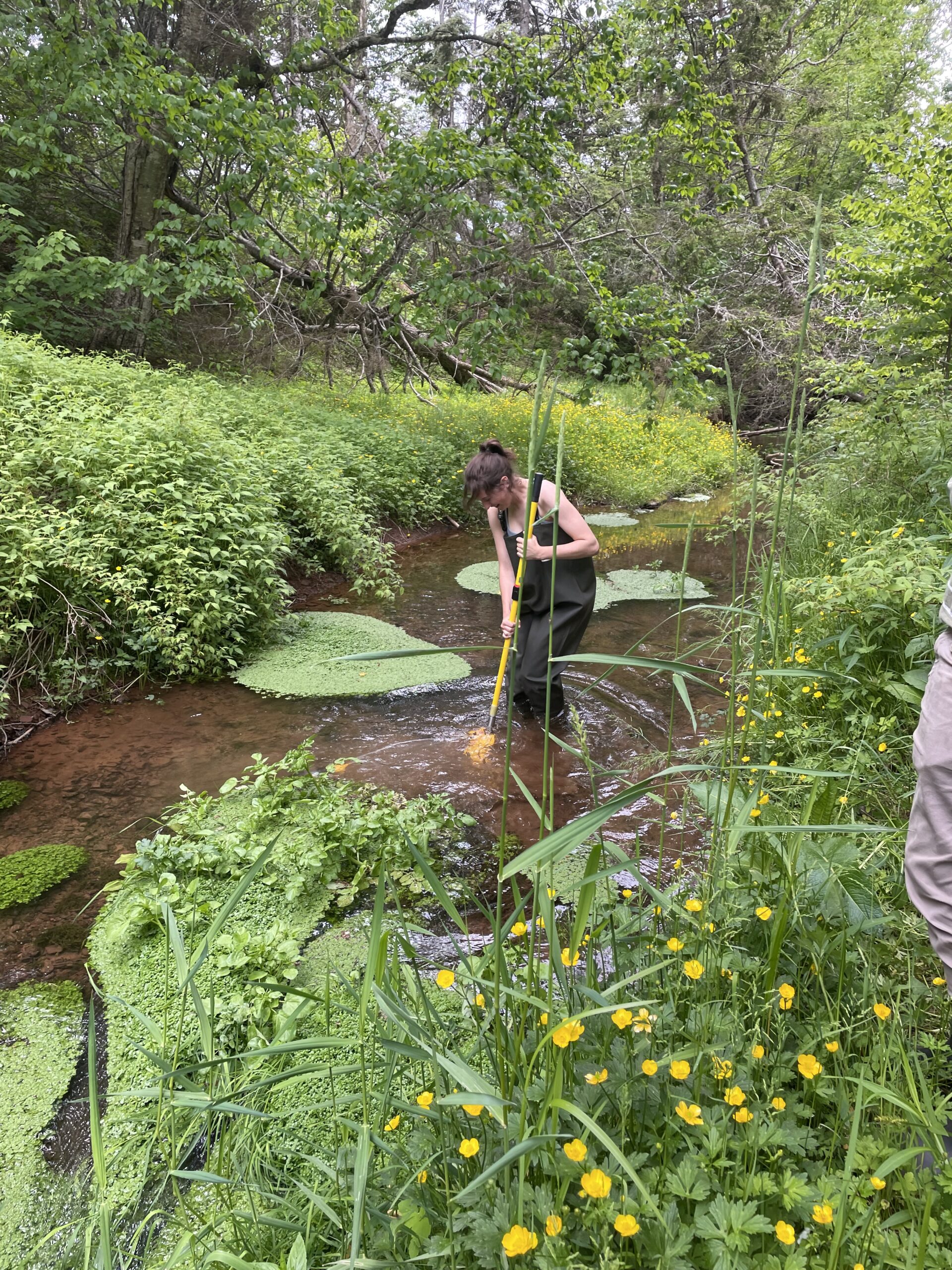Wheatley River Improvement Group – A watershed group in PEI, Canada.