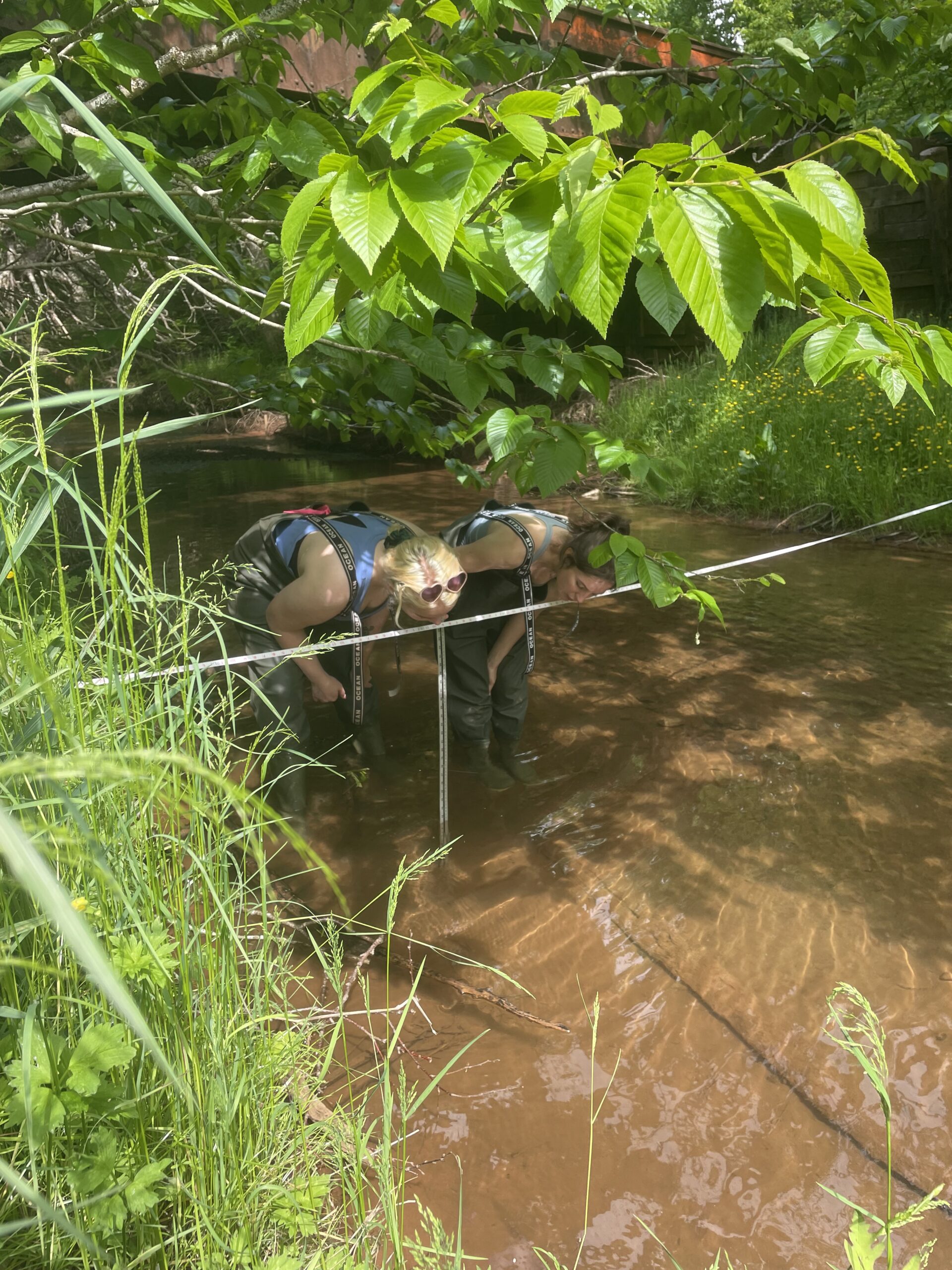Wheatley River Improvement Group – A watershed group in PEI, Canada.